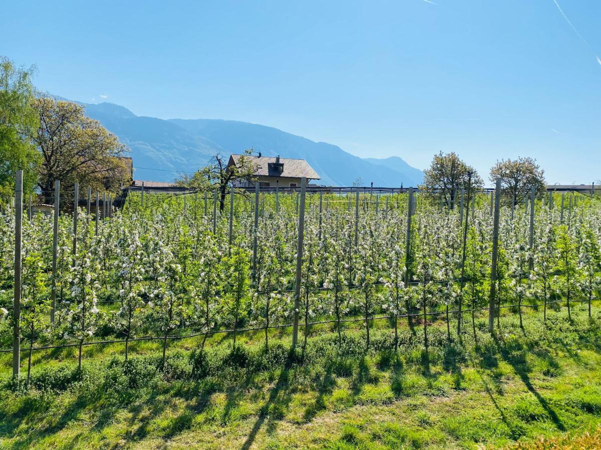 Pension Rebgut Bed & Breakfast Lana Exterior photo